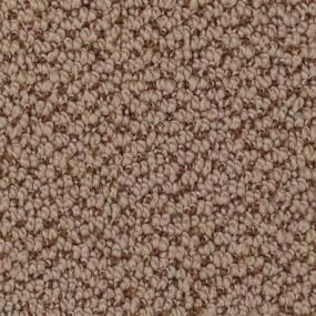 Loop Roan Beige/Tan Carpet