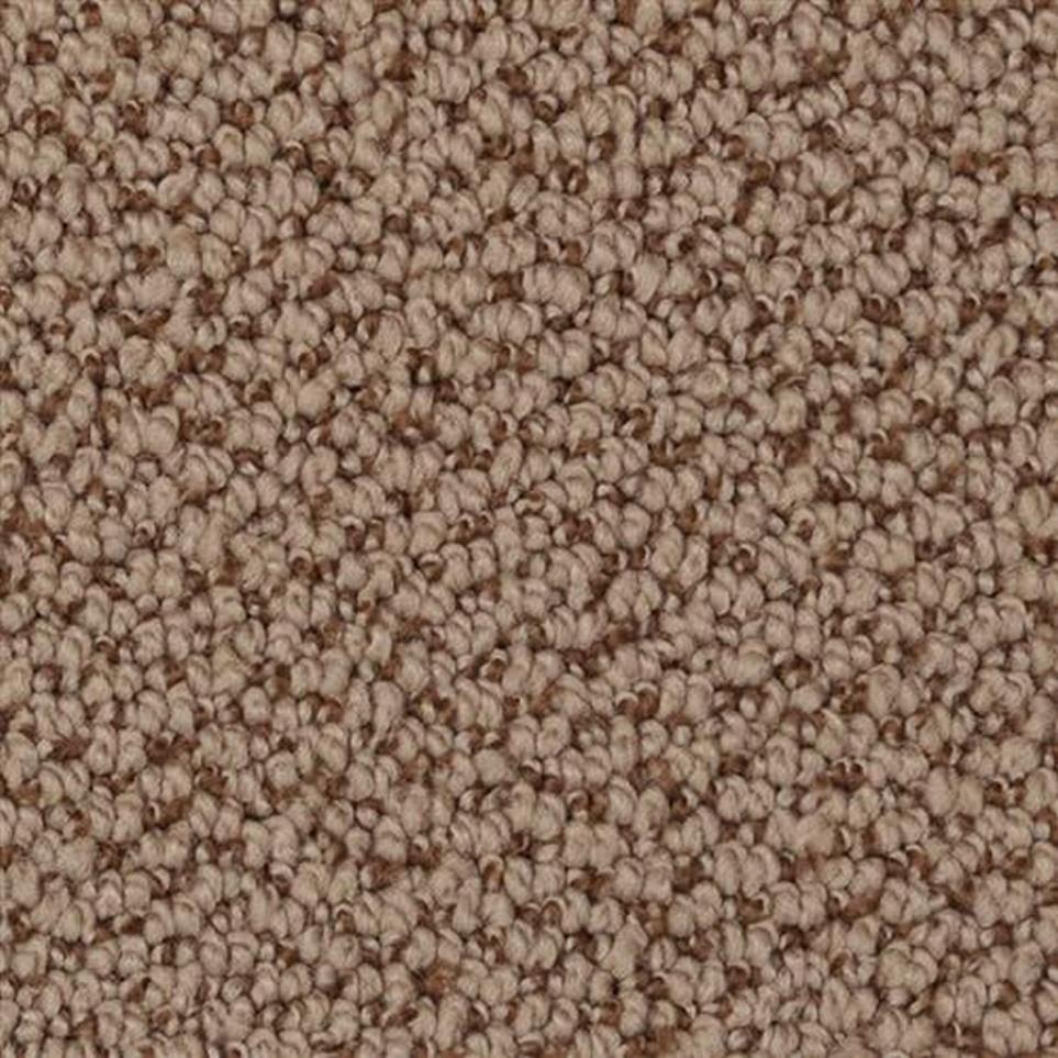Loop Roan Beige/Tan Carpet
