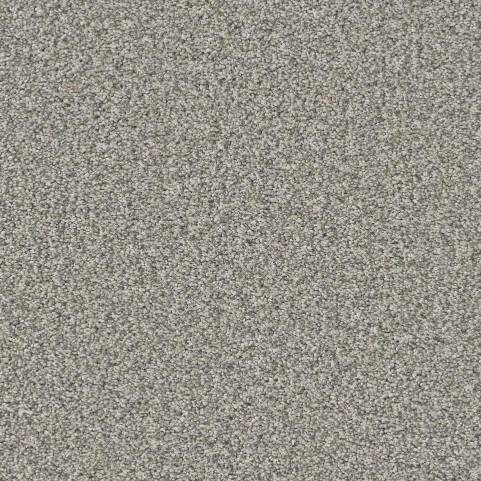 Textured Saxony Palomino Beige/Tan Carpet