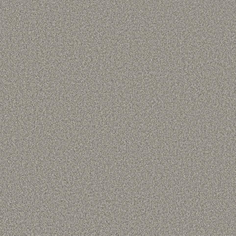 Texture Palomino Beige/Tan Carpet