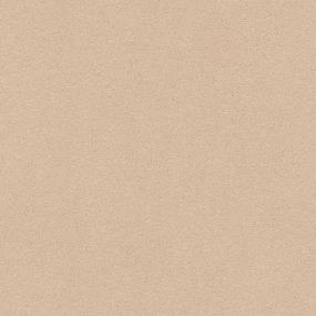 Textured Saxony Cocoa Sand Beige/Tan Carpet