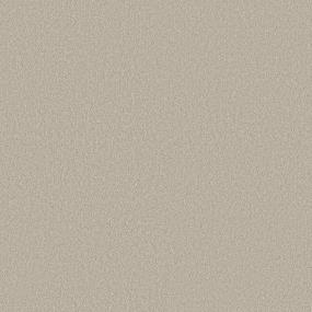 Texture Flannel Brown Carpet