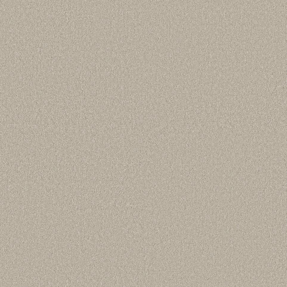 Texture Twilight Taupe Brown Carpet