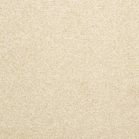 Casual Texture Suede Beige/Tan Carpet