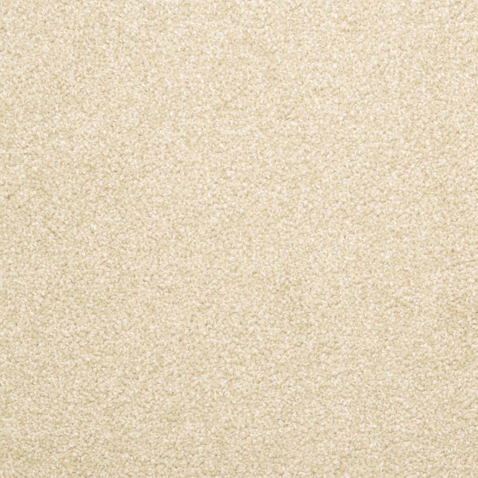 Casual Texture Suede Beige/Tan Carpet