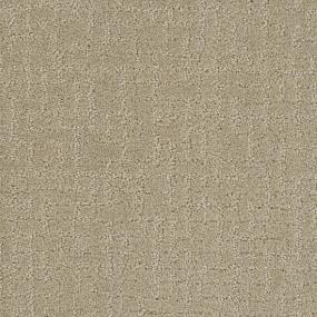 Pattern Hall Of Fame Beige/Tan Carpet