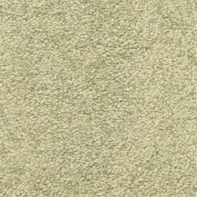 Casual Texture Spanish Moss Green Carpet