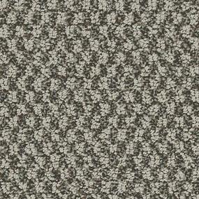 Pattern Dakota Gray Carpet