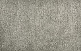 Plush Flint Gray Carpet