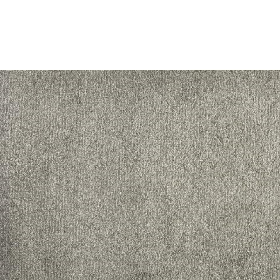 Plush Flint Gray Carpet