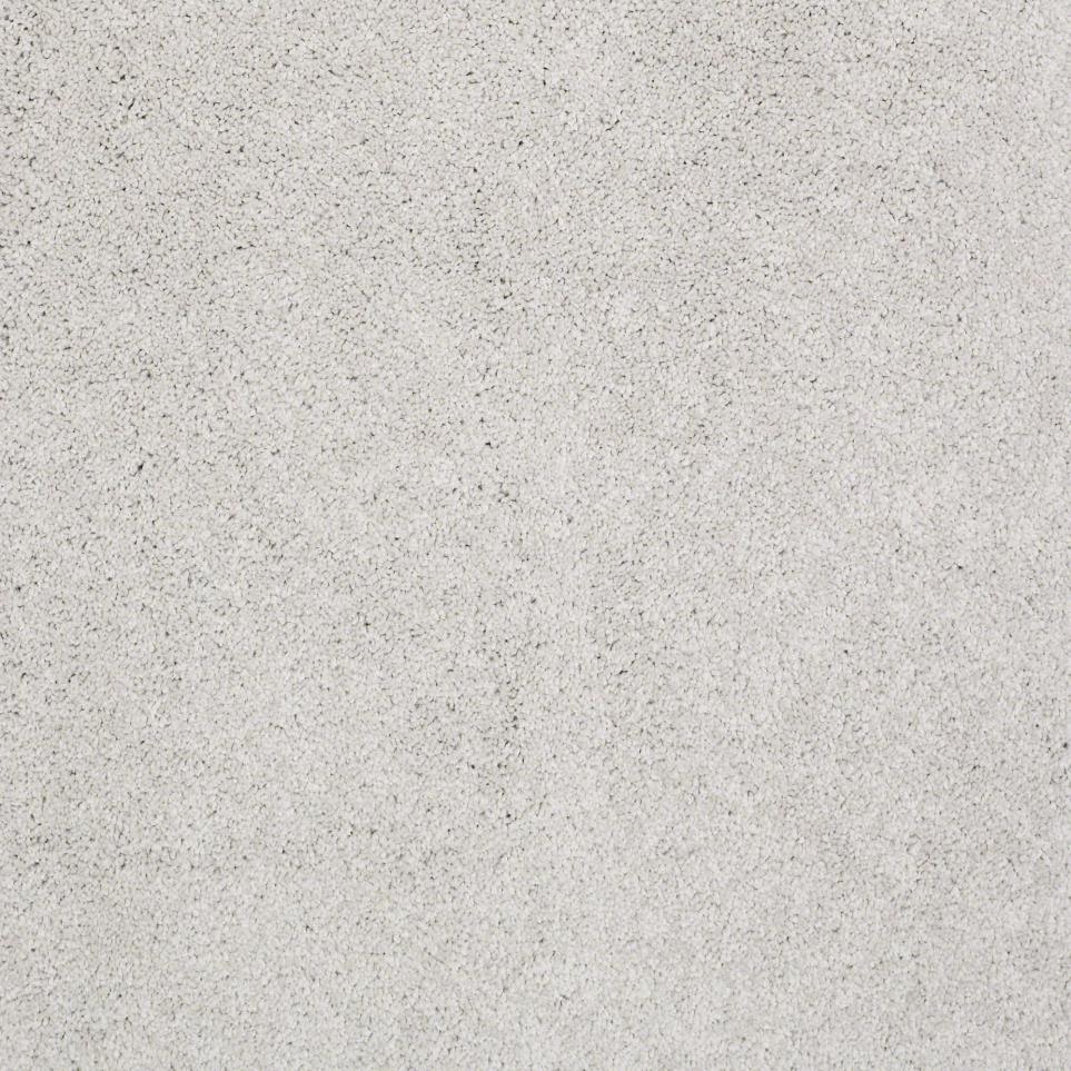 Texture Snicker Doodle Gray Carpet