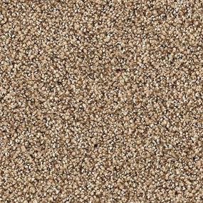 Textured Saxony Haven Beige/Tan Carpet