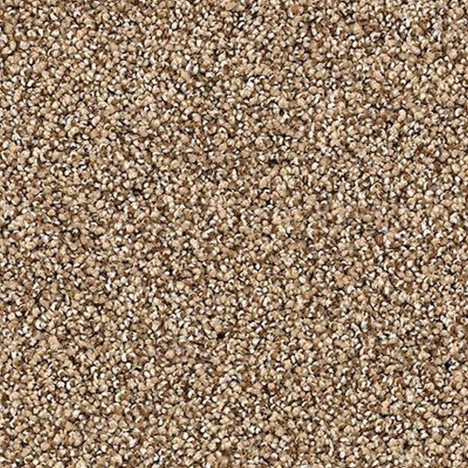 Textured Saxony Haven Beige/Tan Carpet