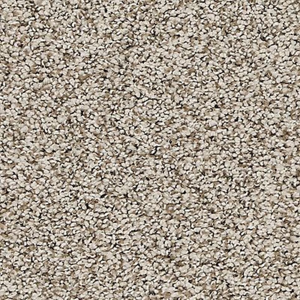 Textured Saxony Mountain Ledge Brown Carpet