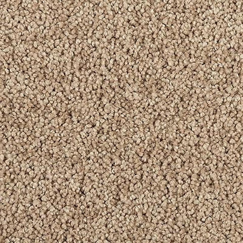 Texture Sandy Cove Brown Carpet