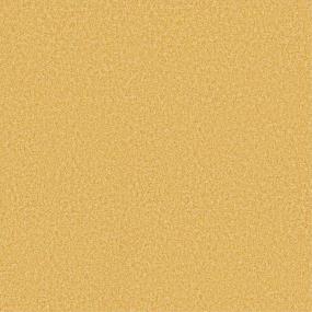 Texture Sunshine Yellow Carpet
