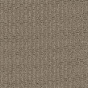 Pattern Snazzy Brown Carpet
