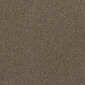 Textured Saxony Merchant Brown Carpet