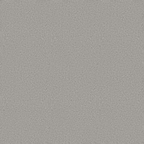 Plush Saxony Grayson Gray Carpet