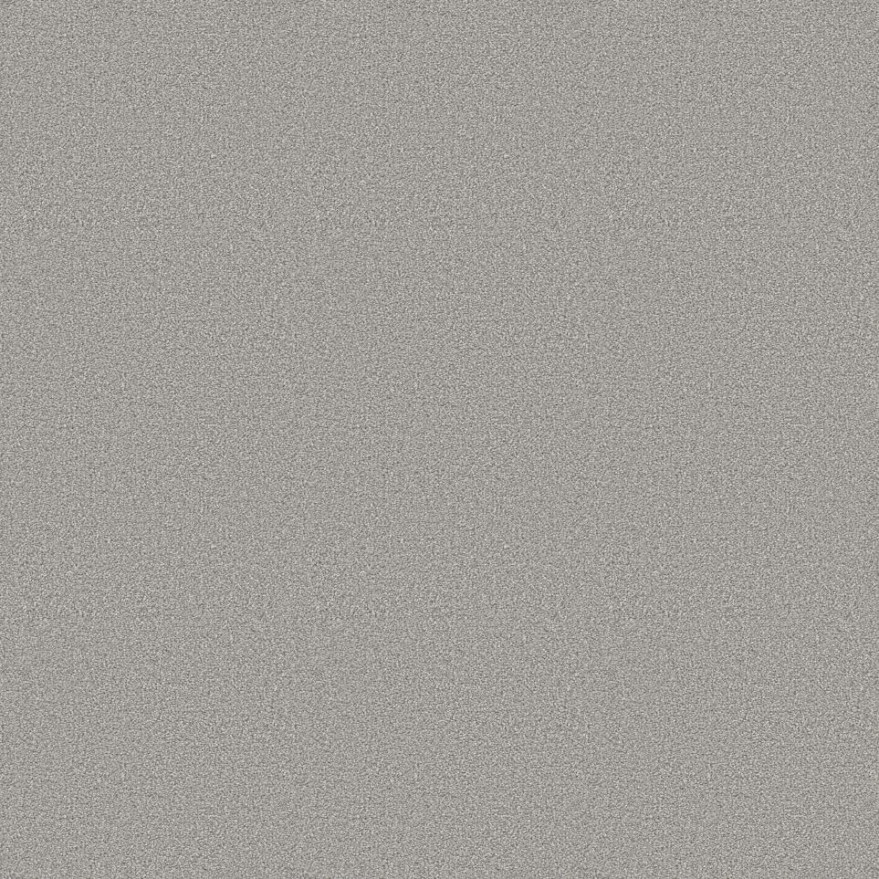 Plush Saxony Grayson Gray Carpet