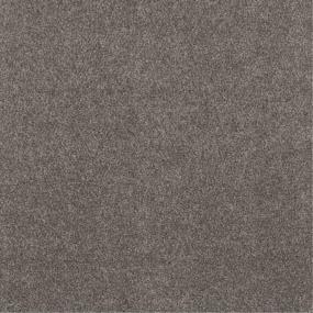 Casual Texture Pueblo Brown Carpet