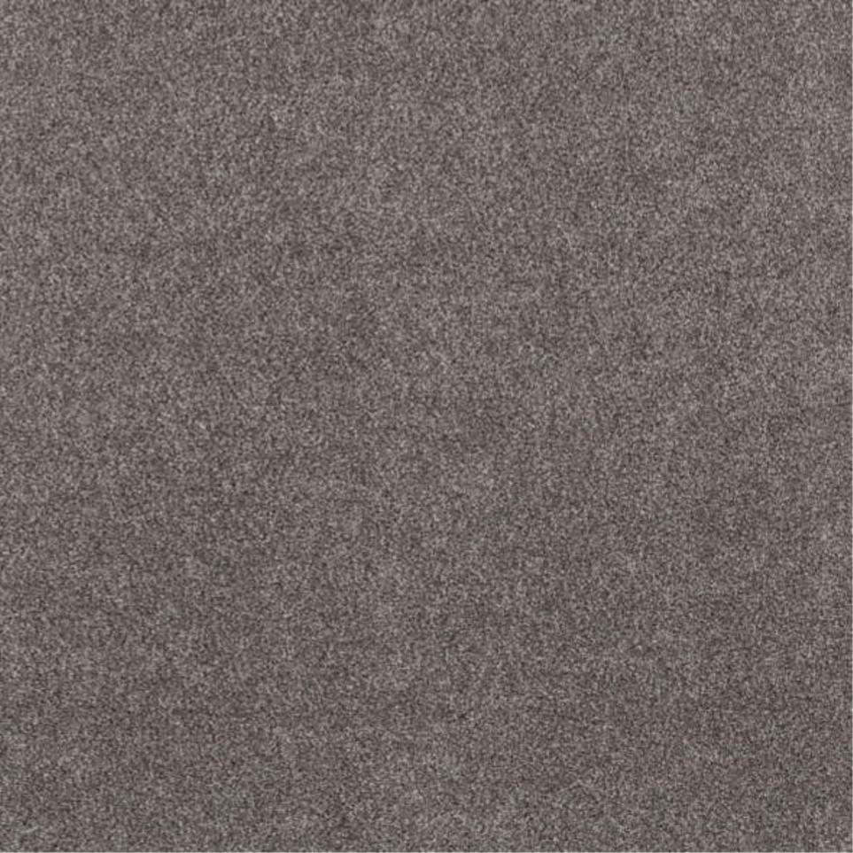 Casual Texture Pueblo Brown Carpet