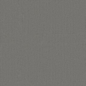 Loop Knighthood Gray Carpet