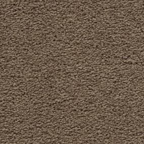 Textured Saxony Steeple Brown Carpet