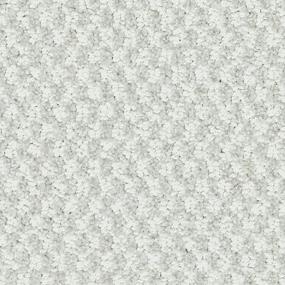 Pattern Arctic Air Gray Carpet