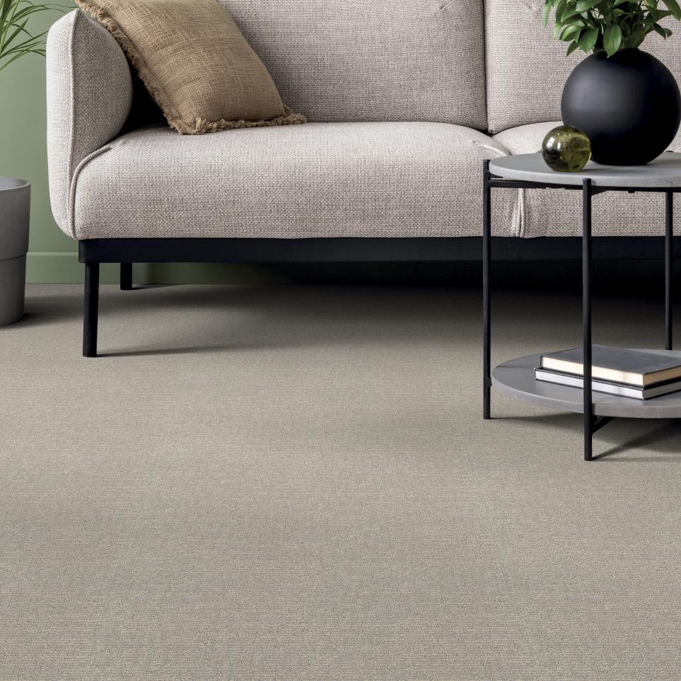 Pattern Scenic Drive Beige/Tan Carpet