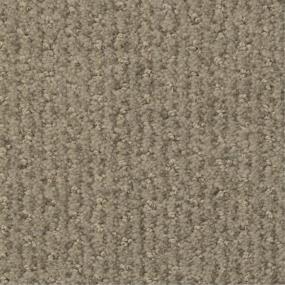 Pattern Graphite Brown Carpet