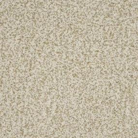 Textured Saxony Lucky Find Beige/Tan Carpet