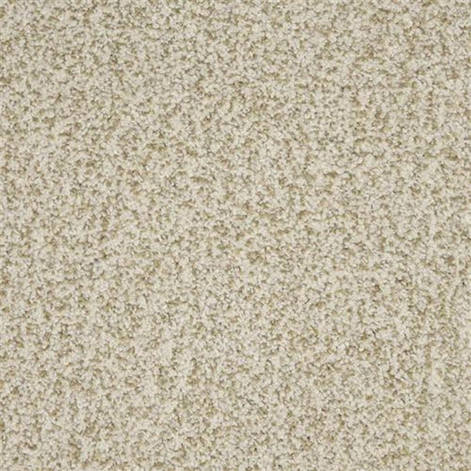 Textured Saxony Lucky Find Beige/Tan Carpet
