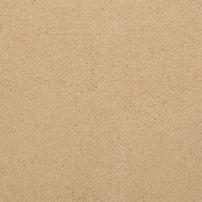 Casual Texture Givery Beige/Tan Carpet
