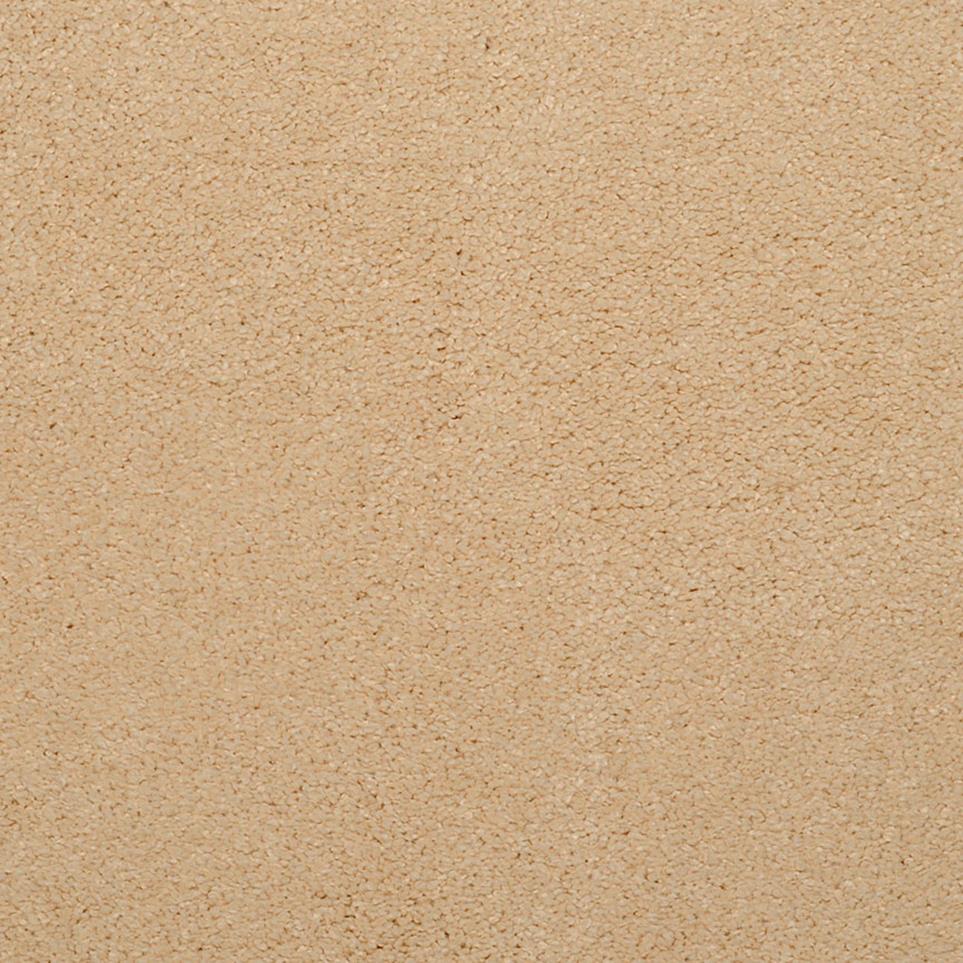 Casual Texture Givery Beige/Tan Carpet