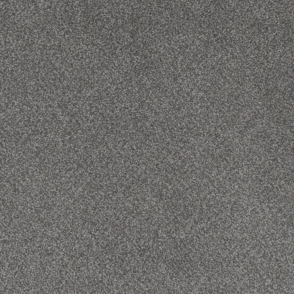 Cut Pile Dream Big Gray Carpet