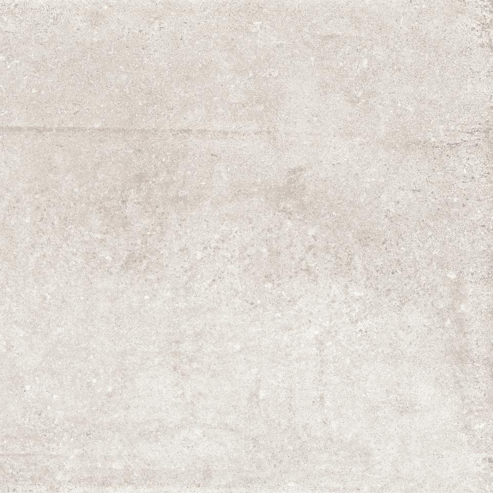 Tile Ivory Matte White Tile