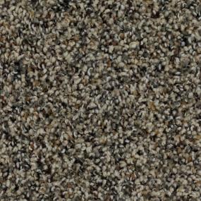 Textured Saxony Wishing Well Gray Carpet