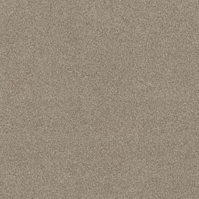 Casual Texture Cocoa Beige/Tan Carpet