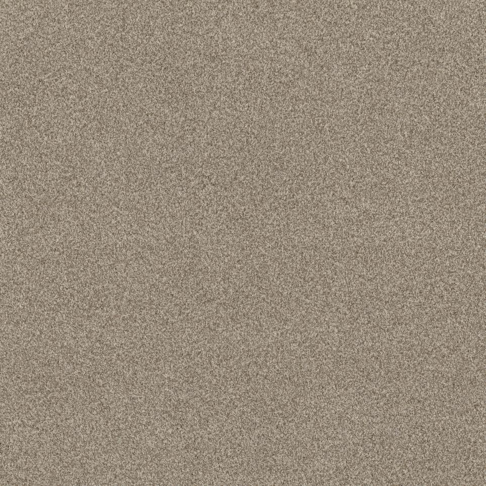 Casual Texture Cocoa Beige/Tan Carpet