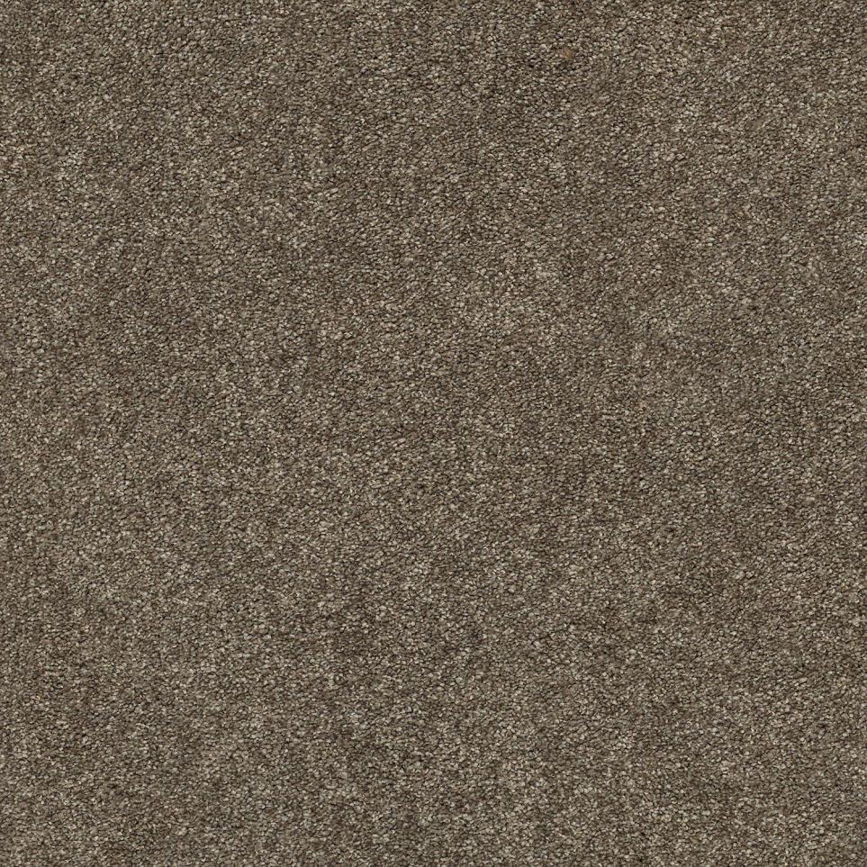 Texture Truffle  Carpet