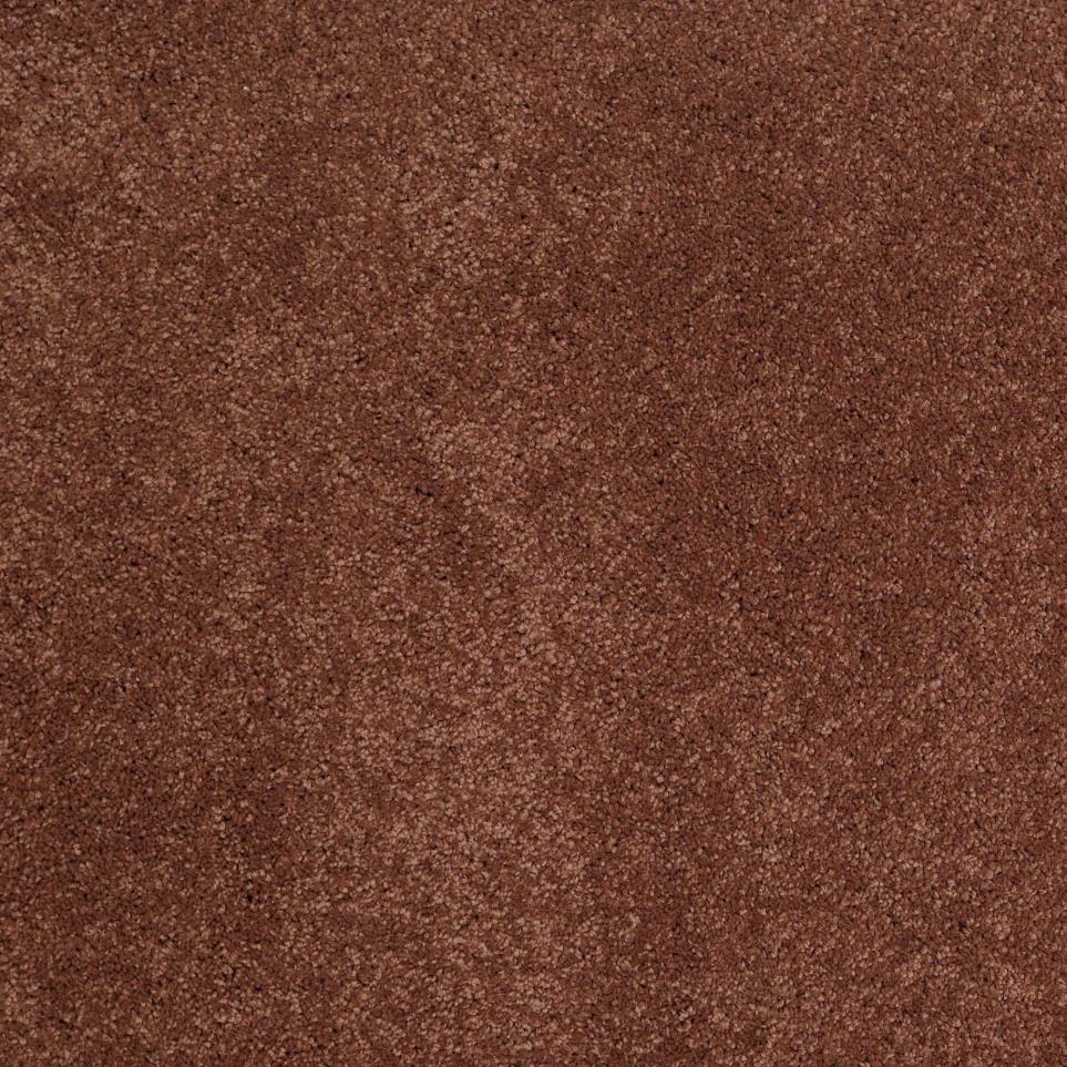 Texture Fire Ant Brown Carpet