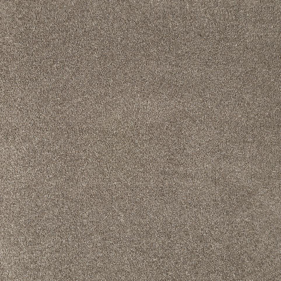 Texture Orientation Brown Carpet