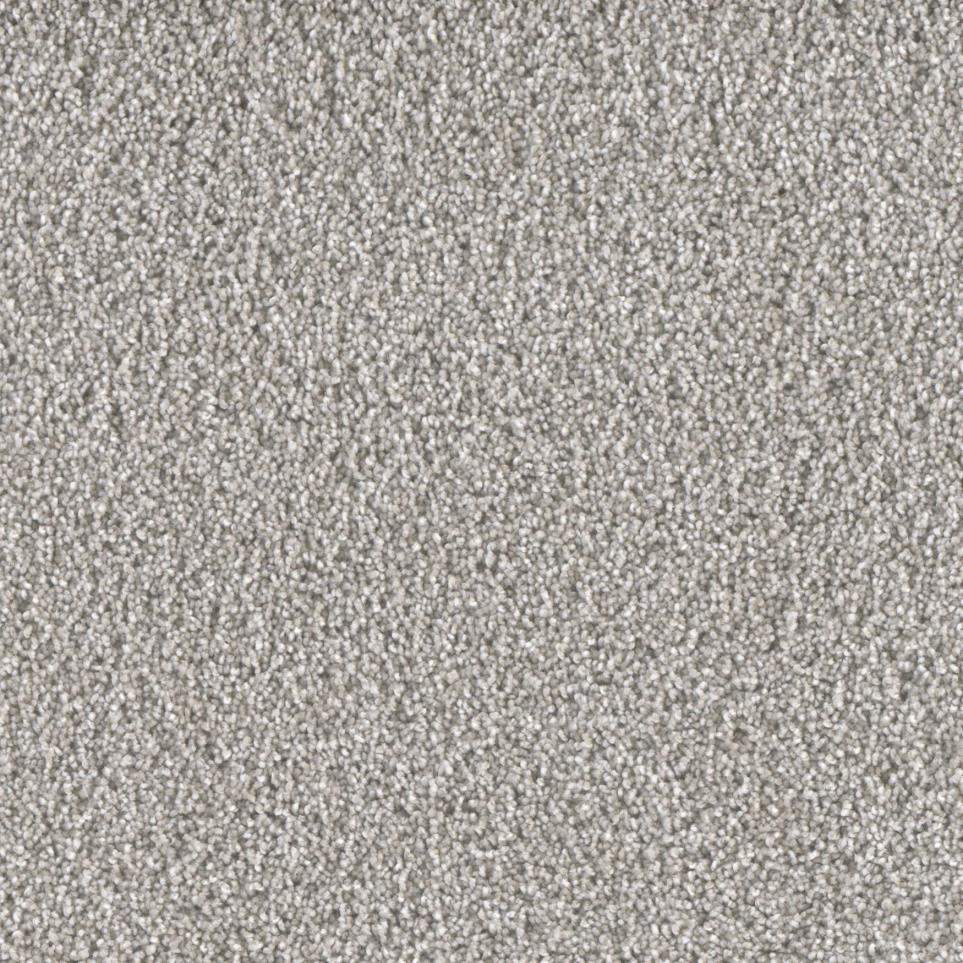 Texture Liberation Gray Carpet