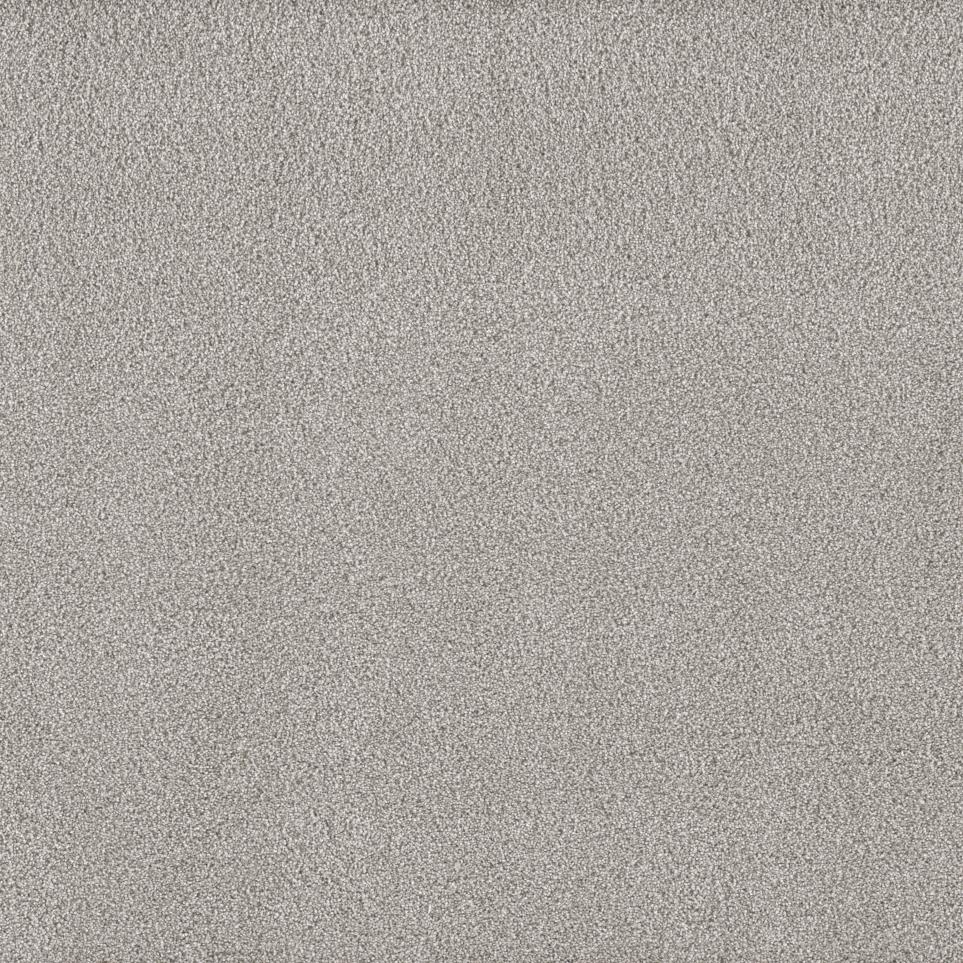 Texture Liberation Gray Carpet