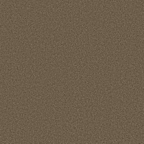 Textured Saxony Grizzly Brown Carpet