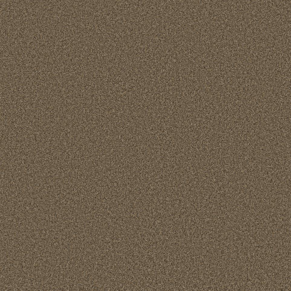 Texture Grizzly Brown Carpet