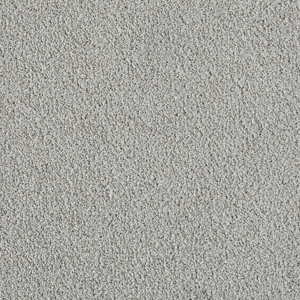 Cut Pile Lotus Gray Carpet