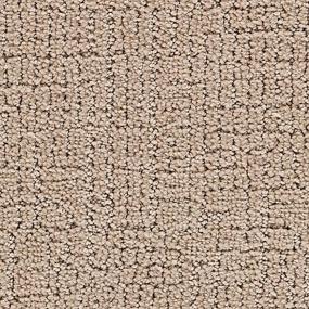Pattern Mayfly Beige/Tan Carpet