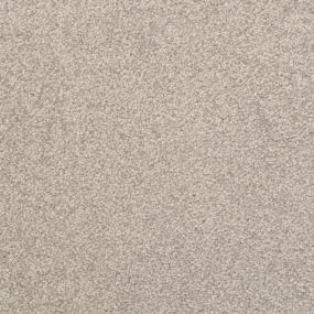 Casual Texture Smoke Gray Carpet